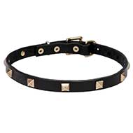 "Modern Style" Narrow Dog Collar of Genuine Leather with Brass Pyramids