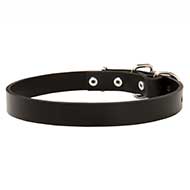 Classic Leather Dog Collar with Steel Nickel Plated Hardware