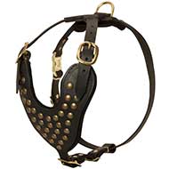 Studded Walking Dog Harness - Custom Leather Dog Harness