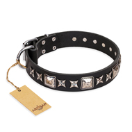'Space Walk' FDT Artisan Black Leather Pitbull Collar with Adornments