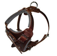 Hands Free Control Dog Harness for Pitbull