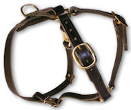 Latigo Leather Non-Padded Tracking Harness for Pitbull