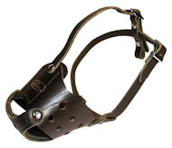 Latigo Safety Muzzle for Pitbull