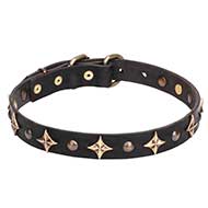 1 inch (25 mm) 'Milky Way' Leather Dog Collar with Old Bronze-plated Half-balls and Stars