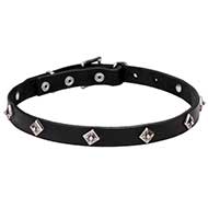 "Cosmic Stars" Narrow Leather Dog Collar with Chrome Plated Studs "Cosmic Stars" Narrow Leather Dog Collar with Chrome Plated Studs