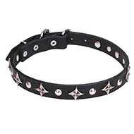"Pleiades" 1 inch (25 mm) Leather Pitbull Collar with Shiny Stars and Studs