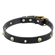 Posh Thin Leather Collar "Golden Pirate"