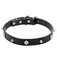 Unique Design Leather Collar with Spikes and Skulls