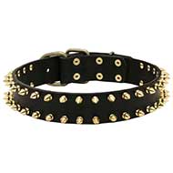 "Unveiled Luxury" Spiked Leather Pitbull Collar "Unveiled Luxury" Spiked Leather Pitbull Collar