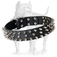 Top Quality Spiked Leather Collar with Nickel-plated Fittings