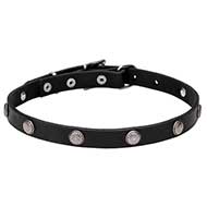 "Antique Flowers" Leather Dog Collar with Engraved Studs for Pitbull "Antique Flowers" Leather Dog Collar with Engraved Studs for Pitbull