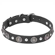 "Shiny Charm" Leather Dog Collar with Engraved Conchos and Small Half Balls