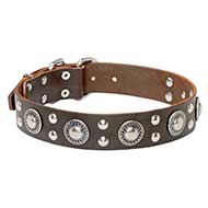 "Rock n Roll' Leather Pitbull Collar with Fancy Decorations