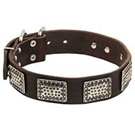 War Style Dog Leather Collar Decorated with Nickel Plates