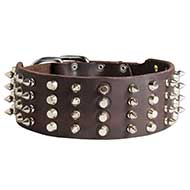 Extra Wide Leather Pitbull Collar with Spikes and Cones Extra Wide Leather Pitbull Collar with Spikes and Cones