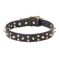 "Space Travel" Leather Collar with Brass Stars and Spikes