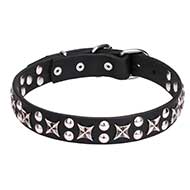 "Planets and Stars" 1 1/5 inch (30mm) Leather Pitbull Collar with Chrome Plated Decor