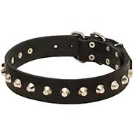 "Daily Elegance" Leather Pitbull Collar with Pyramids "Daily Elegance" Leather Pitbull Collar with Pyramids