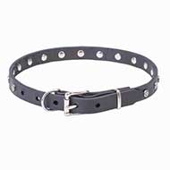"Stellar" Narrow Leather Pitbull Collar with Nickel Plated Studs