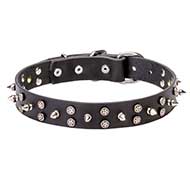 "Star-studded Sky" Pitbull Leather Collar with Chrome Plated Decorations