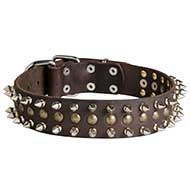 Spiked and Studded Leather Collar for Pitbull Walking Spiked and Studded Leather Collar for Pitbull Walking