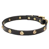 'Stamped Studs' Narrow Leather Dog Collar with Brass Adornment