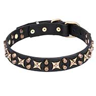 'Hollywood Star' Leather Pitbull Collar with Old Bronze Plated decor