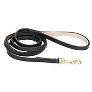 Handcrafted Stitched Leather Dog Leash with Padded Handle