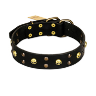FDT Artisan 'Heavy Metal' Leather Pitbull Collar with Skulls and Half-Balls 1 1/2 inch (40 mm)