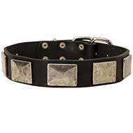 Handcrafted Leather Pitbull Collar with Vintage Massive Plates Handcrafted Leather Pitbull Collar with Vintage Massive Plates