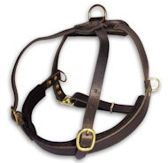 Great Leather Roading Dog Harness for Pitbull
