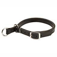 Adjustable Leather Slip Collar with Nickel Hardware for Pitbull Training and Walking
