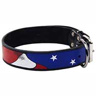 Hand painted by our artists leather dog collar - American Pride