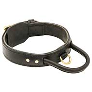 Agitation 2 Ply Leather Collar with Control Handle