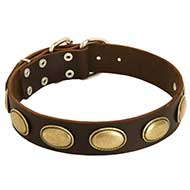 Retro Rulz - Gorgeous Vintage Dog Leather Collar