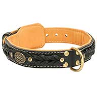 APBT Beautiful Nappa Padded Hand Made Leather Dog Collar