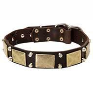 Vintage Leather Dog Collar with Brass Massive Plates + 2 Nickel Plated Pyramids
