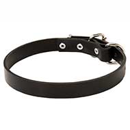 Leather Dog Collar for Pitbull BEST EVERYDAY COLLAR FOR PITBULL