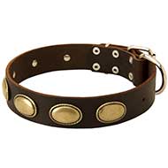 Designer Dog Collar - Exclusive Leather Collar for Pitbull-High Quality Decorated Collar