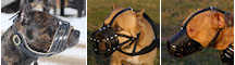 Pitbull Leather Muzzles