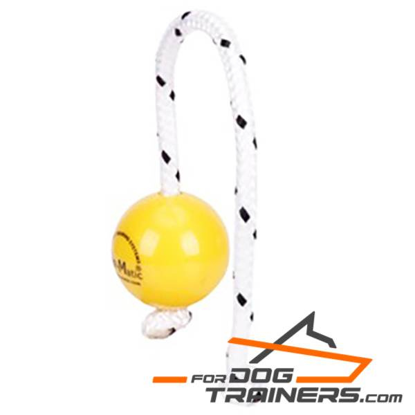 Magnetic Mini Dog Ball 
