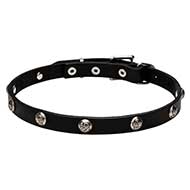 "Lucky" 20 mm Pitbull Leather Collar with Engraved Nickel Studs