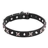 "Blazing Stars" Leather Pitbull Collar with Shiny Stars and Pyramids of Silver Color "Blazing Stars" Leather Pitbull Collar with Shiny Stars and Pyramids of Silver Color