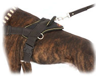 Pull Dog Harness-Stop Your Pitbull Pulling