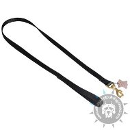 All Weather Nylon Pitbull Leash All Weather Nylon Pitbull Leash