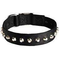 Sophisticated Nylon Collar for Pitbulls with 1 Row of Studs