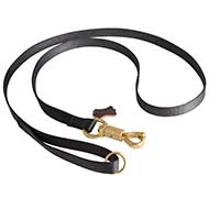 6FT Deluxe Nylon Lead with Swivel Snap Hook for Pitbull