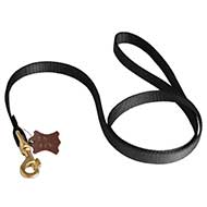 Lightweight 6ft Nylon Leash with Smart Lock