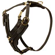 PITBULL Padded Dog Harness H10