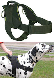Best Dog Training Harness for PITBULL- Nylon Harness w/h handle